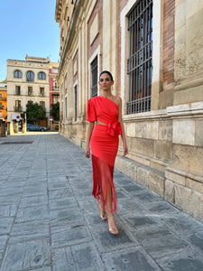 Sexy Elegant Red Fringe Dress with Floral applique from The King Kouture